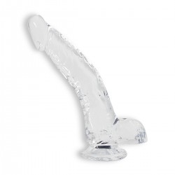 DILDO STALLION ALIVE TRANSPARENTE