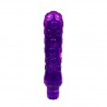 VIBRADOR CIRUELA ROXO LIBID TOYS
