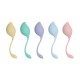CONJUNTO DE 5 BOLAS VAGINAIS PELVIC STEM KEGEL KIT MULTICOLOR LOVELINE 