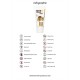 LUBRIFICANTE PARA FISTING NUMBING 3.4 FL OZ 100 ML FIST IT