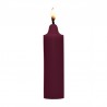 VELA COM AROMA DE ROSA WAX PLAY CANDLE 100 GR OUCH!