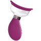 BOMBA PARA VULVA E SEIOS DELIGHTFUL ROSA PUMPED 