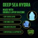 DEEP SEA HYDRA - SILICONE DILDO - BLUE